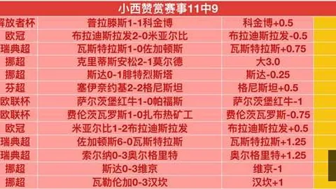 开云官网 104258